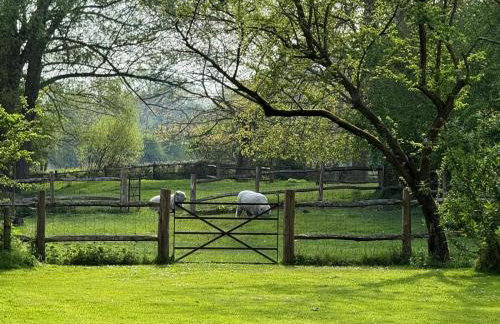 1 Bed in Eye- oc-34390 - Foto 3