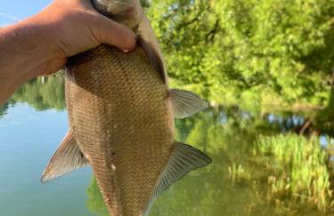 DOMKI APARTAMENTOWE CHMIELÓWKA - Foto 2