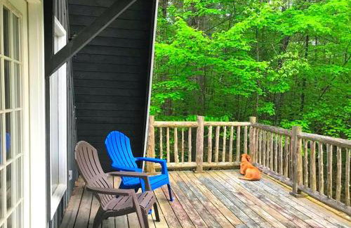 Dog-Friendly Chalet Rental near Whiteface Mountain and Lake Placid, New York - Foto 15