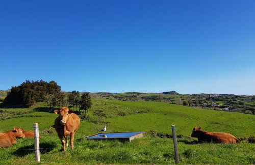 Quinta do Calvário - Foto 24