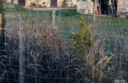 Molino della Tuoma - Foto 74