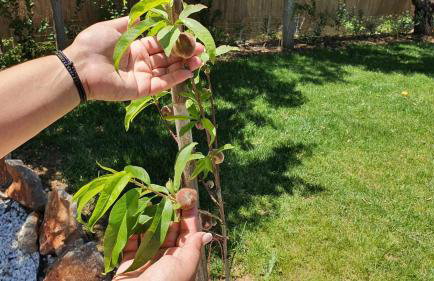 Villa Anasa Residence - Foto 71