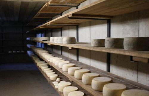 Agriturismo La Nevera - Foto 37