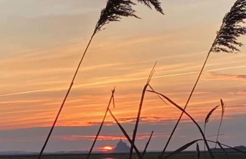 Tiny house near the Mont-Saint-Michel - Foto 25