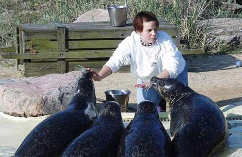 Friesenhof - Foto 24