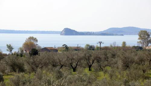 Il Casale degli Ulivi - Foto 3