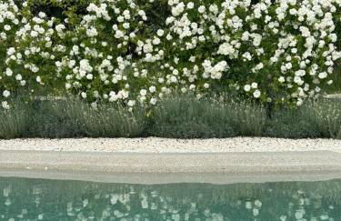 Villa con piscina vicino Roma - Foto 49