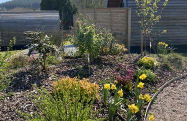 Raven's Gully - Brodick, Isle Of Arran - Photo 38