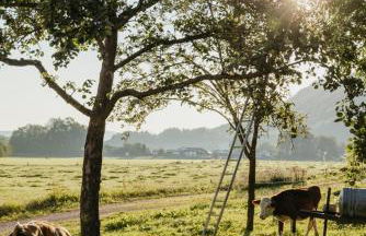 Staudingerhof - Photo 34