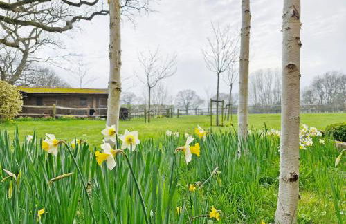 Broomy Cottage - Foto 68