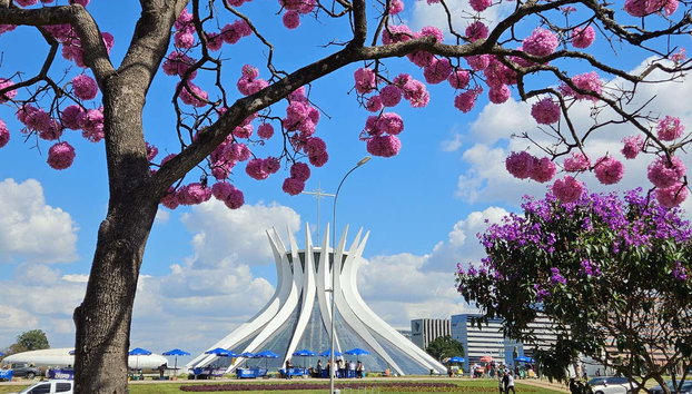 Brasilia Bus Tour - Photo 3, Admire the Cathedral of Brasília