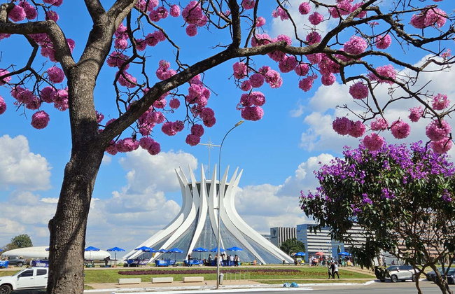 Brasilia Bus Tour - Photo 3