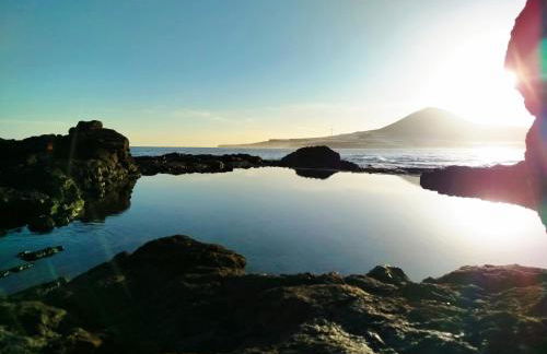 Natura punta - Photo 1