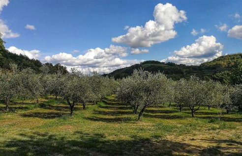 Villa Ginocchetti - Foto 12