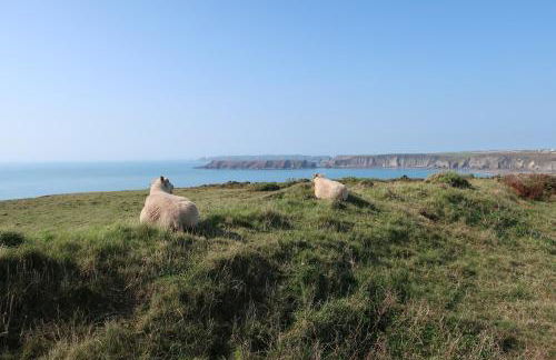 Best Beach 2025 "Little Haven" & The Hidden Gem - Foto 34