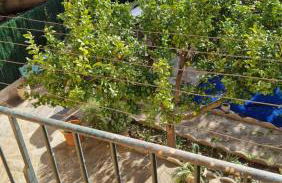 Appartement au premier étage dans maison de charme avec grand jardin au RDC - Foto 30