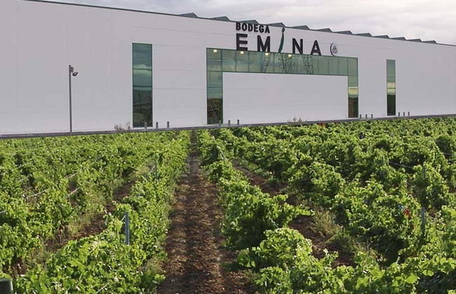 Visita a la Bodega Emina Rueda - Foto 2