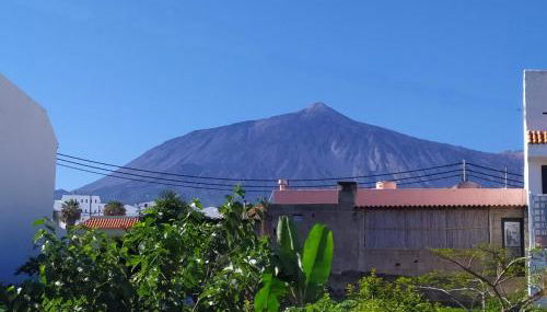 Vivaldi Summer - Foto 5