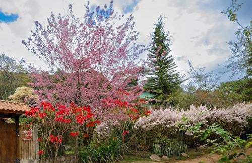 Chalé Flores e Amores - Photo 48