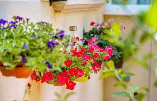 Dosmadres7 - Foto 12