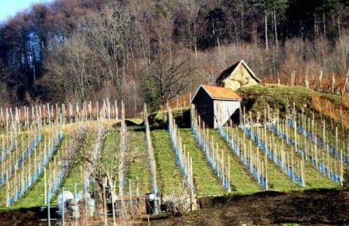 Ferienwohnungen Dieterich - Foto 9