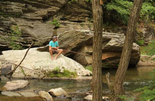 Twin Creeks Cabin - Anglers Retreat! - Foto 20