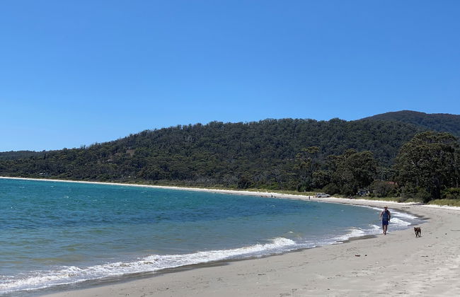 Blossoms on the Bay - 4 Bedrooms - Foto 61