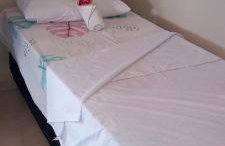 Flor de cacto - Foto 5