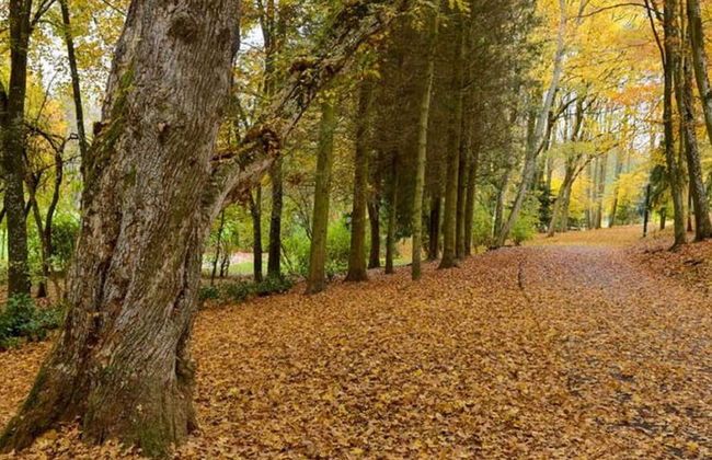 Charming Cottage in a Farm With Views - Foto 38