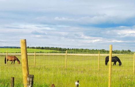 Cottage with Panoramic Views - Photo 21