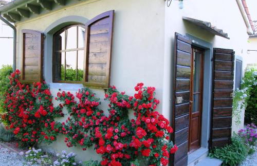 Fattoria di Migliarino - Foto 56