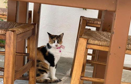 Not a Villa - Foto 24