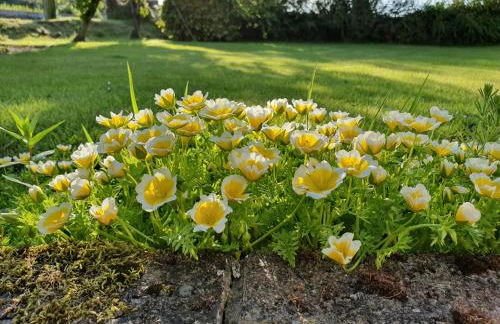 Ash Cottage - Photo 14