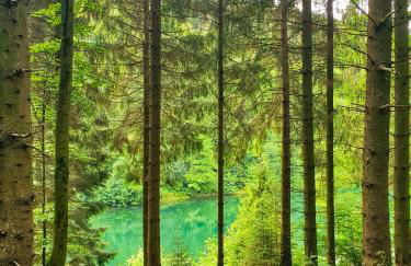 Villa Meisterstein - Foto 35