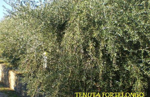 Tenuta Fortelongo - Foto 115