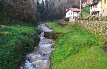El Rinconin de Degu - Photo 27