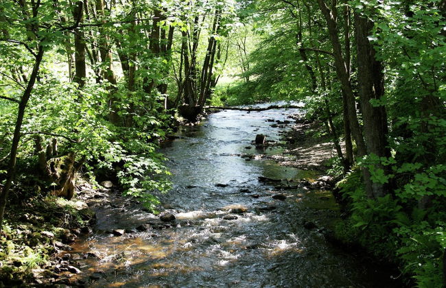 Holiday Home in Peaceful Setting and Large Garden - Foto 36