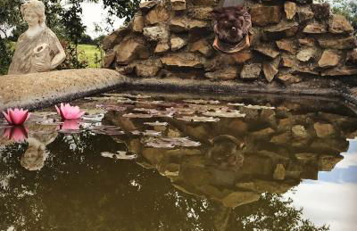 Agriturismo Casale Sasso - Foto 46