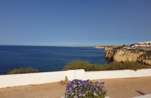 ML Central Vila Apartment - Foto 14