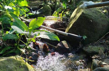 Canto dos Pássaros, Sana - Photo 24