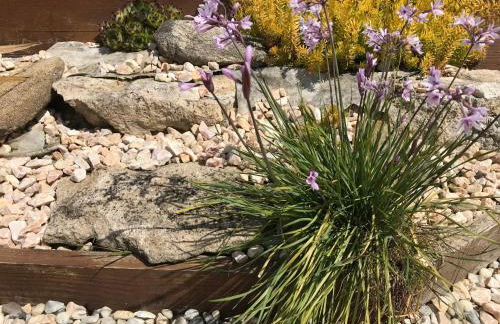 Cottage Le Cerf-volant - Foto 11