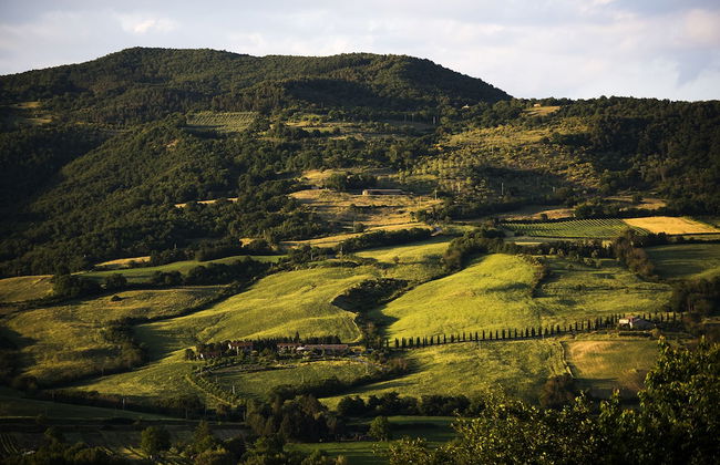 Agriturismo Casale Le Crete - Photo 79