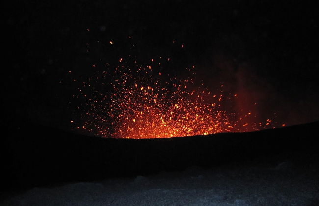 Castle Tree House - Photo 15