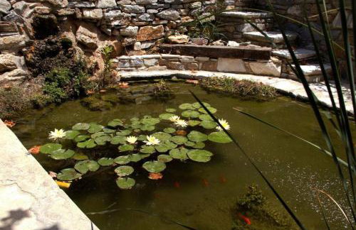 Giannakis' Filoxenia - Foto 33