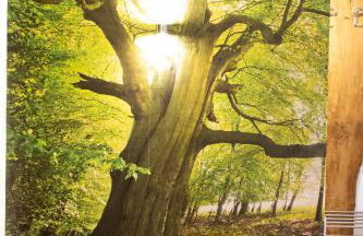 Hof Timmermann - Bienenstock - Photo 12