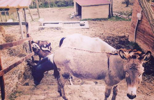 Dimorra Country House - Foto 13