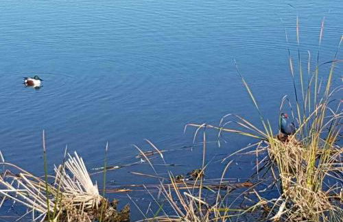 Ria Formosa Pineview - Foto 35