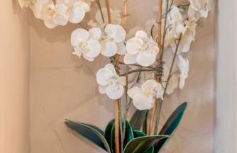 Danes Cottage - Luxury Peak District Retreat - Photo 53