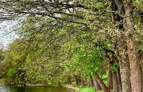 Uroczy Domek - Foto 19