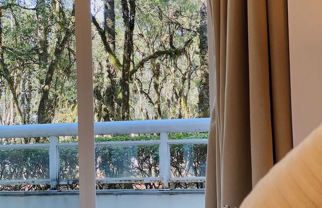 Suíte 3014 Laje de Pedra Gramado Canela - Foto 21